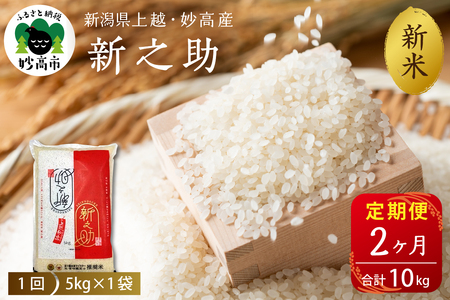2025年10月上旬発送【定期便】令和7年産 新潟県上越・妙高産新之助5kg×2回（計10kg）連続 2ヶ月 2ヵ月 ブランド米 白米 精米 お米 コメ こめ ご飯 おにぎり 贈り物 ギフト