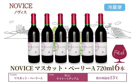 赤ワイン NOVICE マスカット・ベーリーA 720ml×6本 フルボトル 日川中央葡萄酒 山梨県 笛吹市 177-7-31