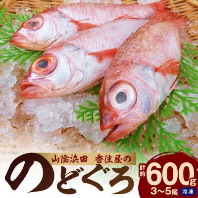 ふるさと納税 浜田市 山陰浜田　創業大正10年香住屋の「のどぐろ煮つけ・塩焼用(3〜5尾)約600g」