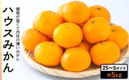 【先行予約】 8月上旬から発送 ハウスみかん 2S～Sサイズ 約5kg（愛媛県産 みかん 蜜柑 オレンジ 柑橘 果物 フルーツ 家庭用 お取り寄せ おすすめ 愛媛県 松山市 ）【FA0682】