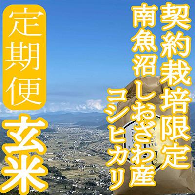 ふるさと納税 南魚沼市 【発送月固定定期便】※玄米10Kg※生産者限定　南魚沼しおざわ産コシヒカリ全3回 |  | 01