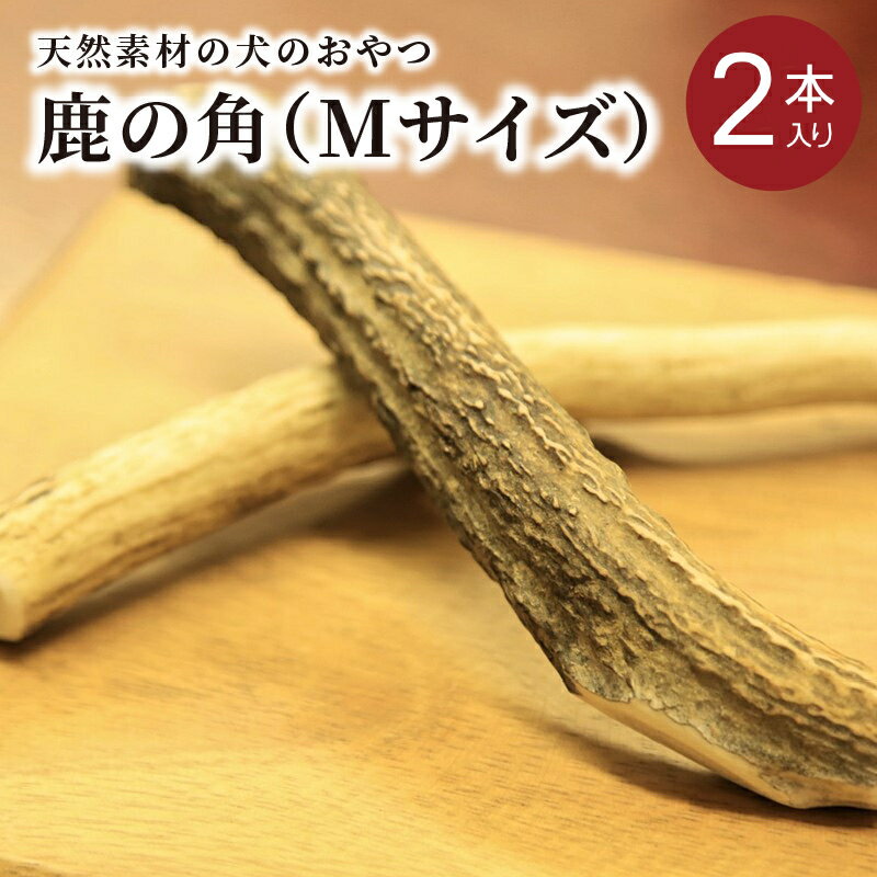 高評価★5.0 高レビュー★ 鹿の角（Mサイズ×2本）京都丹後産 ペット犬用おやつ ドッグガム 鹿の角 ペット 犬 おやつ ペットグッツ ご褒美 Mサイズ 2本 口臭予防 ガム デンタルケア 鹿骨 無臭 ボーン ジビエ ご褒美 愛犬 愛犬家 10,000 10000 円 送料無料