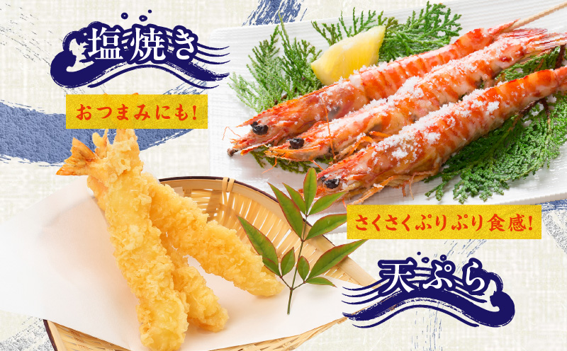 【生食可】泉州車えび 300g【訳あり サイズ不揃い 先行予約 エビ 海老 国産 魚介類 海鮮丼 冷凍】