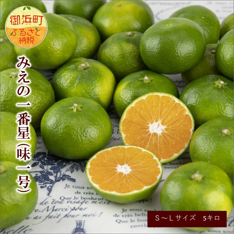 【ふるさと納税】【10月上旬～発送】JA 三重のみかん みえの一番星 (味一号) 5kg 超極早生【基準をクリアした三重ブランド みえの一番星】