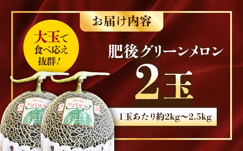 肥後グリーンメロン2玉 / メロン フルーツ 果物 ジューシー 旬 熊本県 菊陽町【古閑農園】 [BHDJ002]