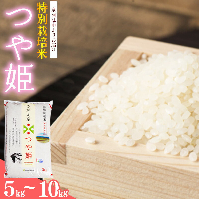【ふるさと納税】新米【 特別栽培米 】山形県産 つや姫 5kg - 10kg 令和7年産（ 選べる 内容量 ・ 配送時期 ） 2025年産 米 お米 白米 精米 ブランド米 東北 単一原料米 高レビュー 国産 5キロ 10キロ JAさがえ西村山 送料無料 産地直送