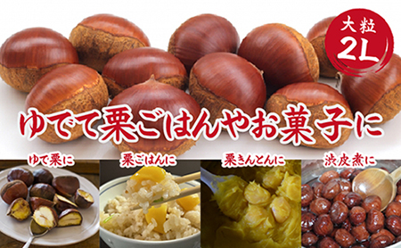 栗 【先行予約】「須木栗」2Lサイズ 2kg程度（生栗 マロン ブランド栗 果物 フルーツ 秋 旬）