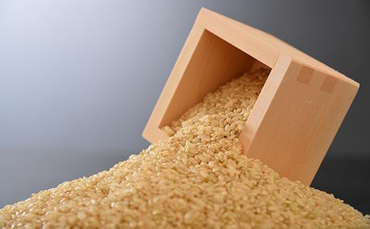 羽咋市産　コシヒカリ　羽咋米（玄米）　5kg