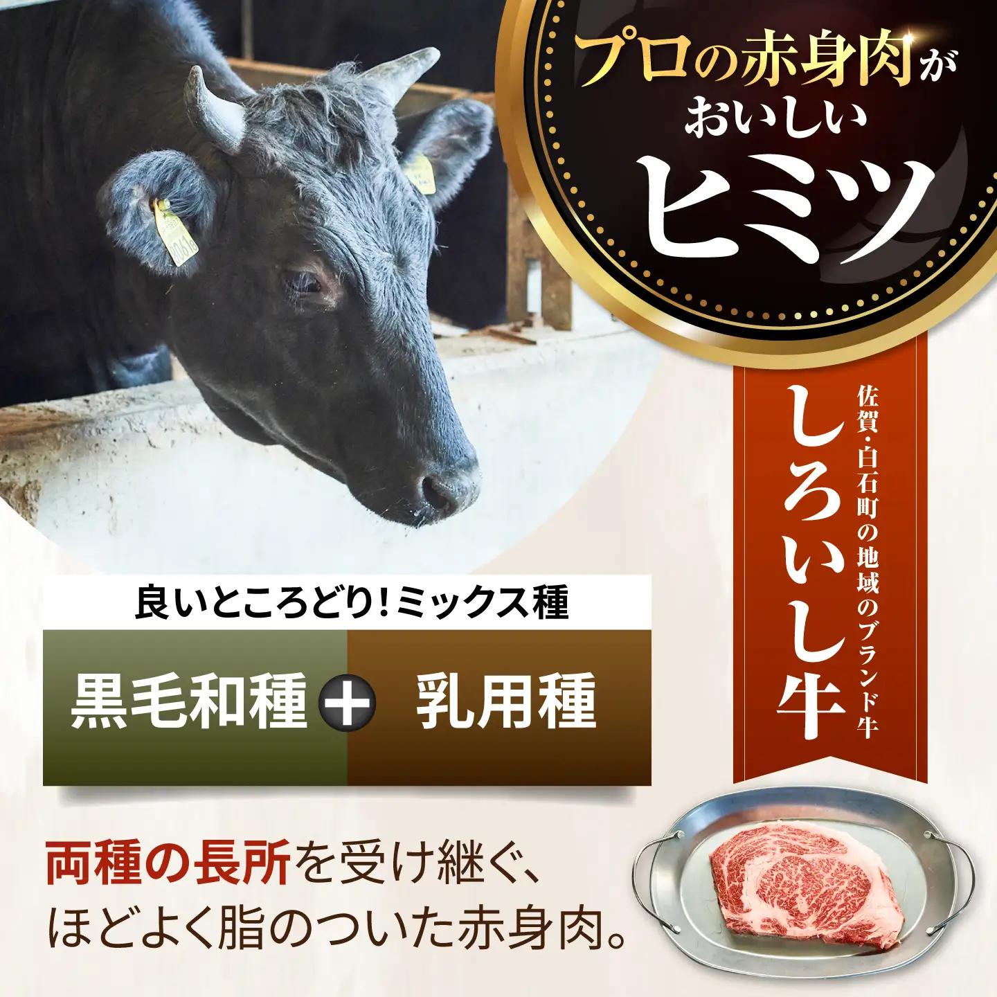 【12回定期便】 焼肉用盛り合わせセット（希少部位）各回1kg / 牛肉盛り合せ [IAH048]