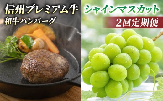 【2回定期便】信州プレミアム牛肉（ハンバーグ4個）・シャインマスカット 2房｜【小田切牧場／JA信州うえだ】ぶどう 葡萄 大粒 果物 フルーツ 和牛 頒布会 長野