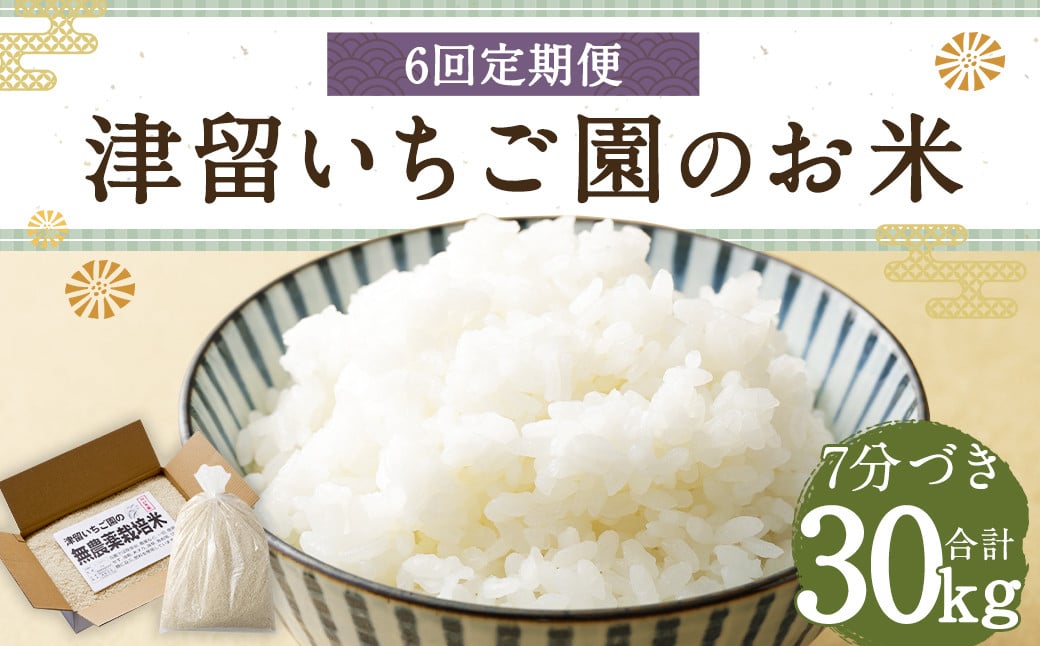 
【6回定期便】津留いちご園のお米 7分づき 農薬・化学肥料不使用（栽培期間中） 約5kg×6回 合計約30kg【2024年11月上旬発送開始】 ご飯 定期便 福岡県産 国産
