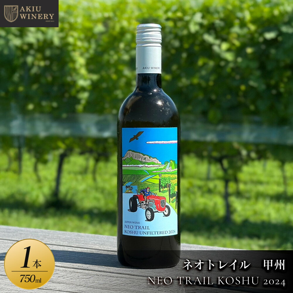 【ふるさと納税】ネオトレイル 甲州 NEO TRAIL KOSHU 2024　750ml×1本【 オレンジワイン お酒 アルコール アルコール飲料 晩酌 家飲み 宅飲み 飲み会 集まり バーベキュー BBQ イベント 飲み物】 | お酒 さけ 人気 おすすめ ギフト シードル　ワイン