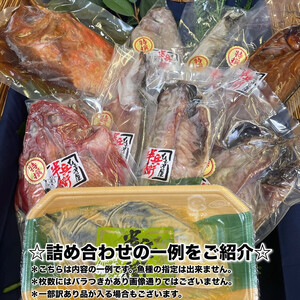 【毎月定期便6回】厳選！小田原の旬の干物セット 極【 まぐろや 神奈川県小田原市 干物 干物 干物 干物 干物】
