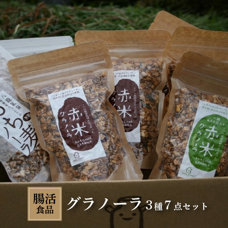 【ふるさと納税】グラノーラ　3種類　7点セット　【 加工食品 健康食品 ヨーグルト おやつ 朝食 朝ごはん 軽食 間食 小腹 詰め合わせ 食品セット 食べ物 】