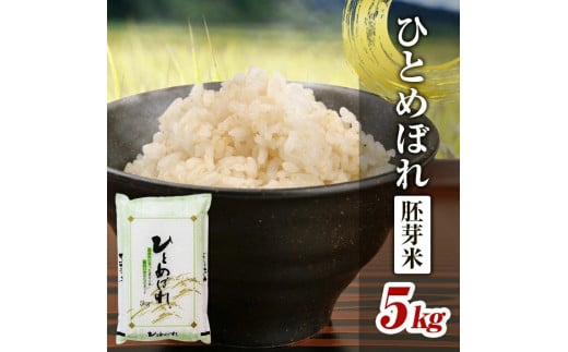 令和7年産 【胚芽米】 ひとめぼれ 5kg×1袋 YA SA2837