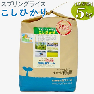 【新米】スプリングライス こしひかり (胚芽米)5kg コシヒカリ ※着日指定不可 _BI49