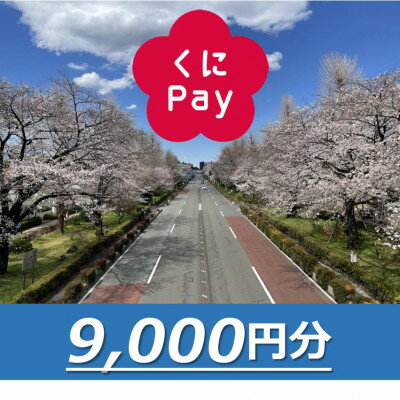 【ふるさと納税】国立市デジタル地域通貨『くにPay』9,000ポイント