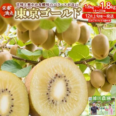 ふるさと納税 太良町 栄養満点!東京ゴールド(キウイフルーツ) 14〜20個1.6kg〜1.8kg　LB13