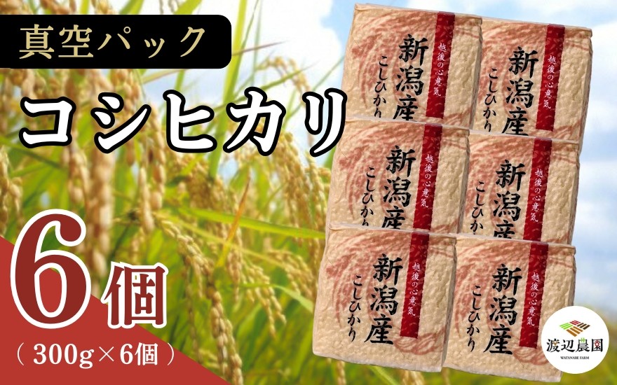 
                  真空パック 五泉産 精米 詰め合わせセット  コシヒカリ6袋入り 新潟県 五泉市 渡辺農園
                