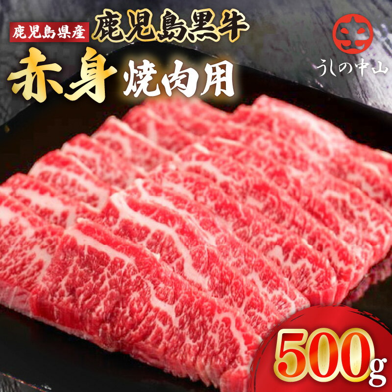 【ふるさと納税】うしの中山 赤身 焼肉 用500g （500g×1パック） 和牛 黒毛和牛 牛肉 【株式会社nixy 中山亭 鹿屋店】