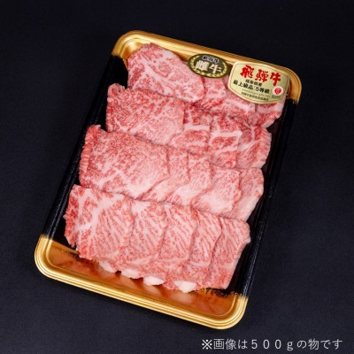 【最飛び雌牛】飛騨牛A5等級モモ焼き肉用　500g【配送不可地域：離島】