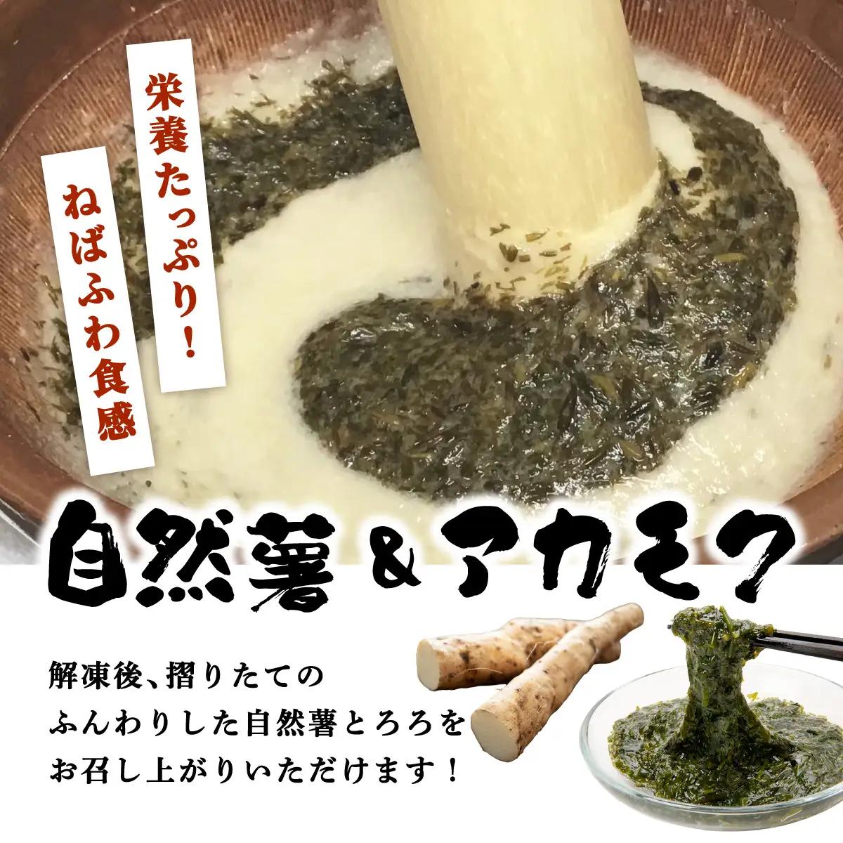 ≪定期便・全12回≫【磯の風味が香る】ふわふわとろろ! 那珂川産 博多 自然薯 アカモク とろろ 60g×6個