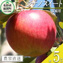 【ふるさと納税】 りんご シナノスイート 家庭用 5kg ファームたんぽぽ 沖縄県への配送不可 令和6年度収穫分 長野県 飯綱町 〔 信州 果物 フルーツ リンゴ 林檎 長野 12000円 予約 農家直送 〕発送時期：2024年10月下旬～2024年11月上旬{**}