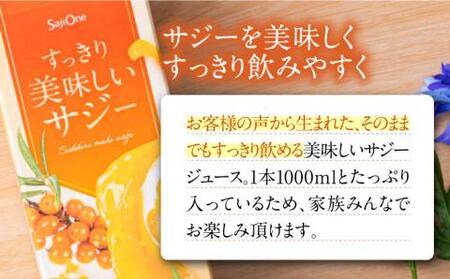 【全6回定期便】 美味しいサジーが毎月届く！すっきり美味しいサジー（2本）定期便6回《豊前市》【ハウスボトラーズ】 [VAX039]