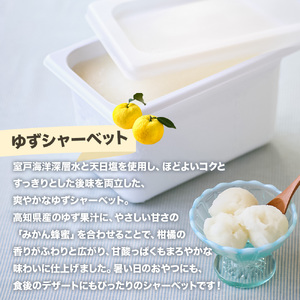 ゆずシャーベット 大容量 アイス 4000ml 4L 業務用 松崎冷菓