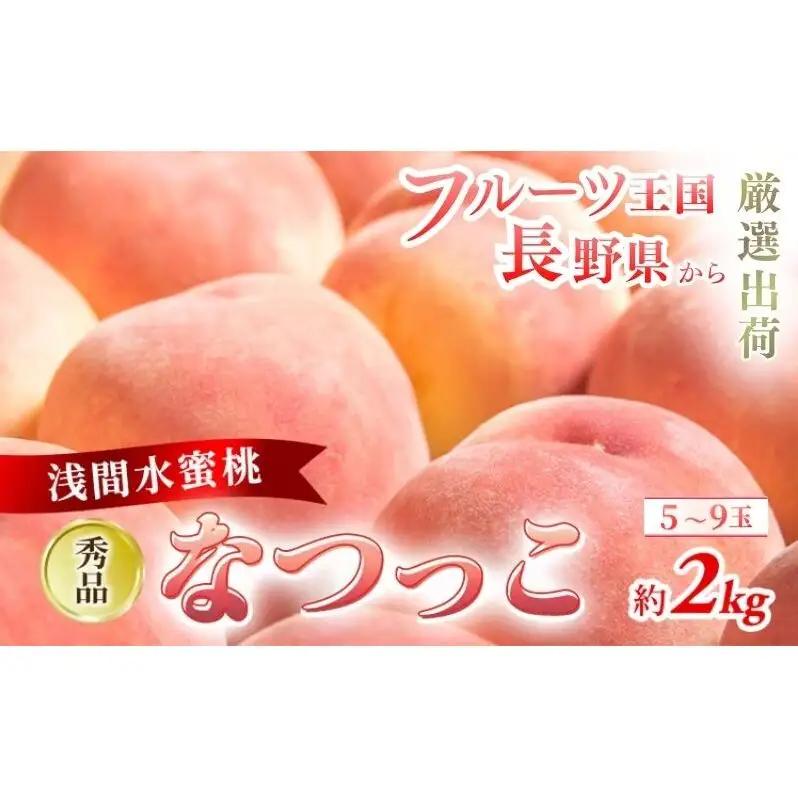 桃 なつっこ 秀品 約2kg 5～9玉 果物 桃 フルーツ