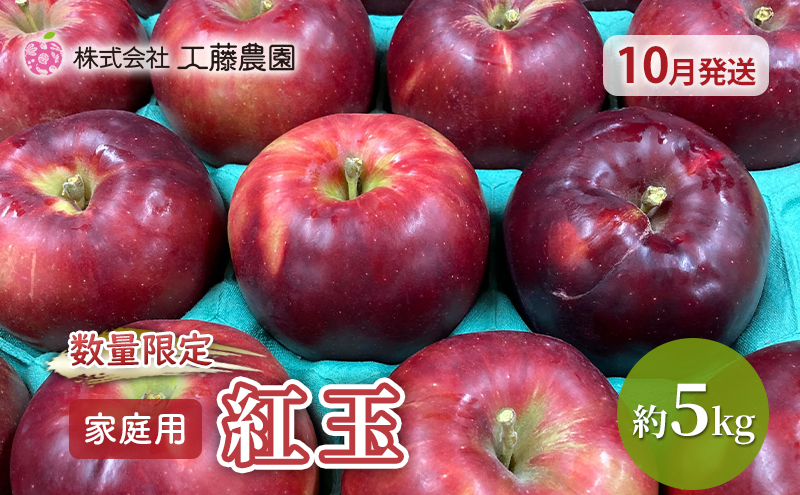 【数量限定  10月発送】 家庭用 紅玉 約 5kg 工藤農園【弘前市産・青森りんご 果物類 林檎 リンゴ 青森県産 フルーツ 果物  】