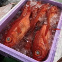 【ふるさと納税】伊平屋島近海で獲れた金目鯛2kg【配送不可地域：離島】【1499834】