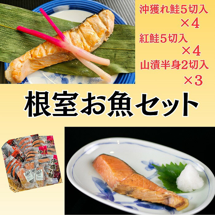【ふるさと納税】根室お魚セット C-66020