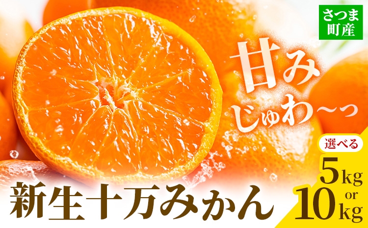 
                  鹿児島県産 新生十万みかん 選べる内容量 約5kg 約10kg 祝迫果樹園《1月中旬-2月中旬頃出荷》鹿児島県 さつま町 みかん 十万みかん 蜜柑 柑橘 果物 くだもの フルーツ ジューシー
                