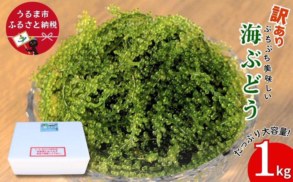 
                  【うるま市産】訳あり海ぶどう　1kg（茎付き）
                