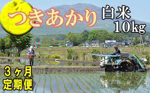 【令和7年産】 新米 11月上旬発送開始予定 つきあかり 精米 10kg×3ヶ月定期便 ／ かきのうえ こめ 米 コメ お米 おこめ ご飯 ごはん 白米 白飯 おにぎり お弁当 仕送り お取り寄せ 産地直送 単一原料米 国産 国産米 東北 岩手県産 八幡平市産 定期 定期便 おすすめ