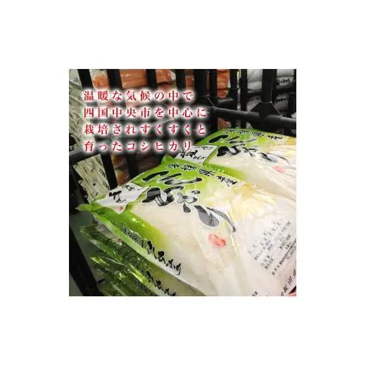愛媛県産コシヒカリ10kg