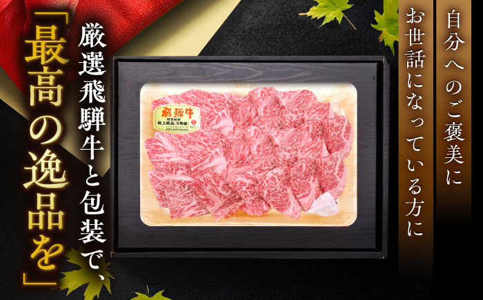 【チルド（冷蔵）発送！】 「飛騨牛」 A5等級 ロース 500g / 牛肉 焼肉 鉄板焼き 網焼き BBQ / 恵那市 / 東美濃農業協同組合 [AUFX008]