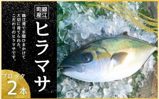 
            No.1394-1  ふる里館 ヒラマサブロックセット　1ケース
          