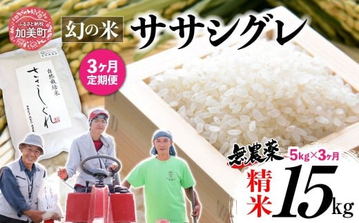 《 希少品種米 》 新米 米 令和7年 宮城県産 ササシグレ ( 栽培期間中農薬・肥料不使用 ) 【 3回 定期便 】 精米 白米 5kg × 3ヶ月 （ 合計 15kg ）｜ 宮城県 加美町 無農薬 お米 こめ コメ ささしぐれ ササニシキ の 父 ｜ nt-ss05-t3-r7