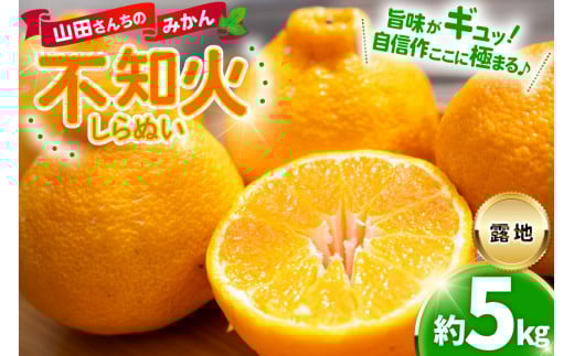 みかん 山田さんちの露地不知火(しらぬい) 約5kg [長崎県 東彼杵町 hs42bag330001] 果物 柑橘 国産 長崎産 東彼杵