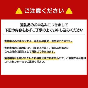 アサヒ生ビール≪マルエフ≫＜500ml＞24缶 1ケース 北海道工場製造