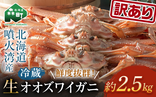 【訳あり】 生オオズワイガニ 約2.5kg ＜海鮮問屋　株式会社　瑞宝＞ ズワイガニ かに カニ 蟹 ガニ がに 海鮮 森町 北海道 mr1-0684