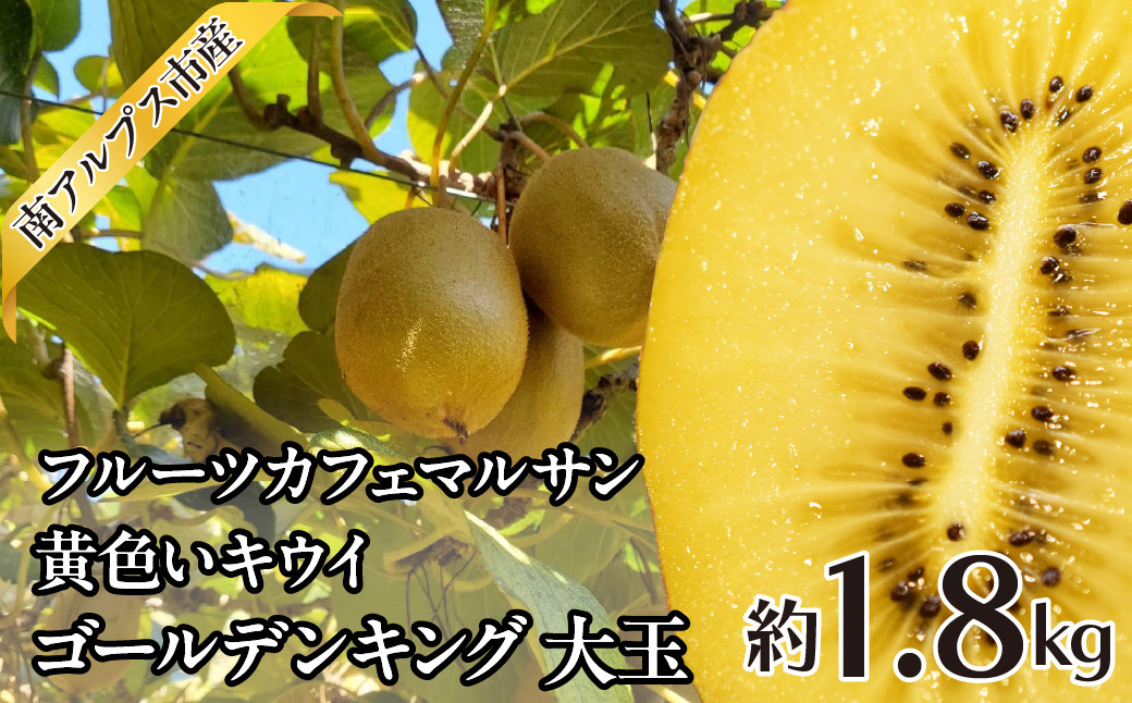 
            ＜2025年発送分先行予約＞フルーツカフェマルサン　黄色いキウイ　ゴールデンキング　大玉　約1.8kg ALPAJ045
          