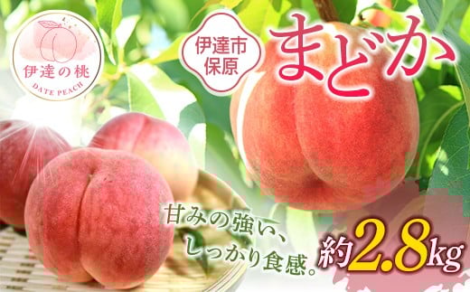 【2026年出荷分先行予約】福島県産 まどか 約2.8kg (8～12玉) あかい果樹園 大玉 固め 伊達の桃 桃 フルーツ 果物 もも モモ momo F20C-898