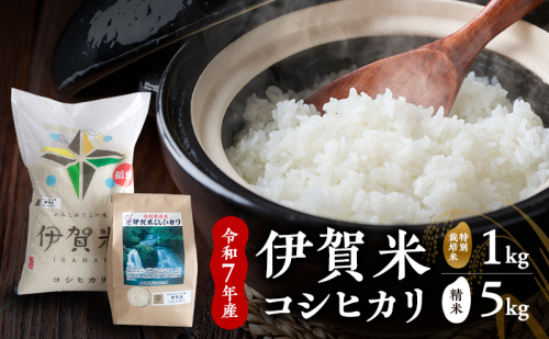 コシヒカリ【精米】令和7年産　伊賀米コシヒカリ 5kg+特別栽培米1kg 白米 お米 米 ごはん もっちり 産地直送 農家直 三重県 名張市 新米 美味しい おいしい 銘柄米 令和 炊き立て 食感 こだわり 旨い