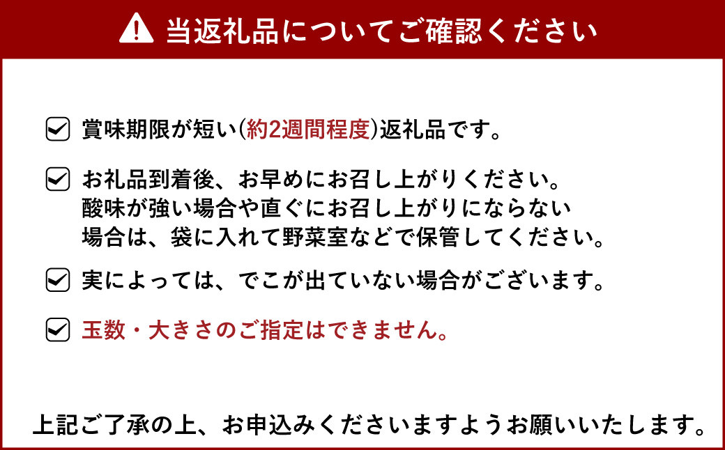 【先行予約】 宇城市産 加温栽培 不知火 約3kg（約7玉～10玉） 坂下園【2024年12月上旬から下旬発送予定】