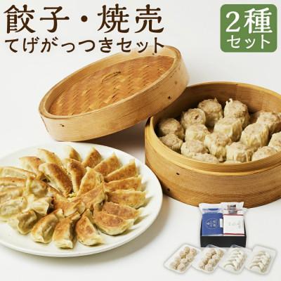 ふるさと納税 高鍋町 【のし付き】てげがっつきセット(豚と野菜のギョーザ+焼売)