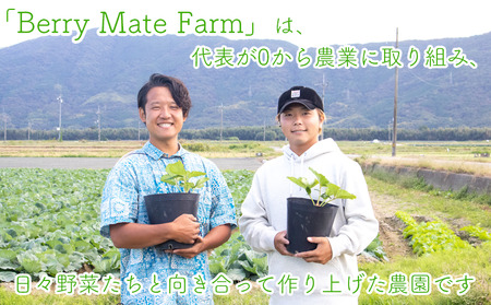 《2月発送》 先行予約 訳あり いちご かおりの 計1840g いちご いちご いちご  Berry Mate Farm