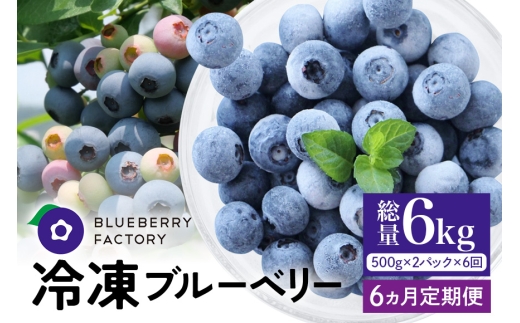 【6か月定期便】岐阜県産 冷凍ブルーベリー＜真空パック保存＞1kgパック 完熟 果物 手摘み 定期便 ブルーベリー 果実 冷凍 ベリー フルーツ くだもの 日時指定可 岐阜県 川辺町 ブルーベーリーファクトリー  A16-020